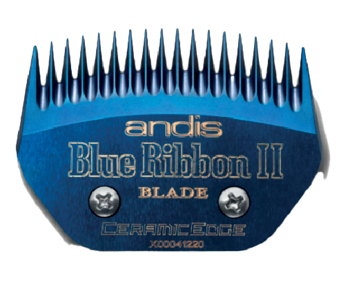 BLUE RIBBON II